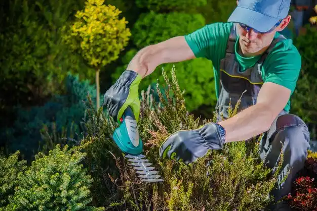 landscaping services Skyline Acres